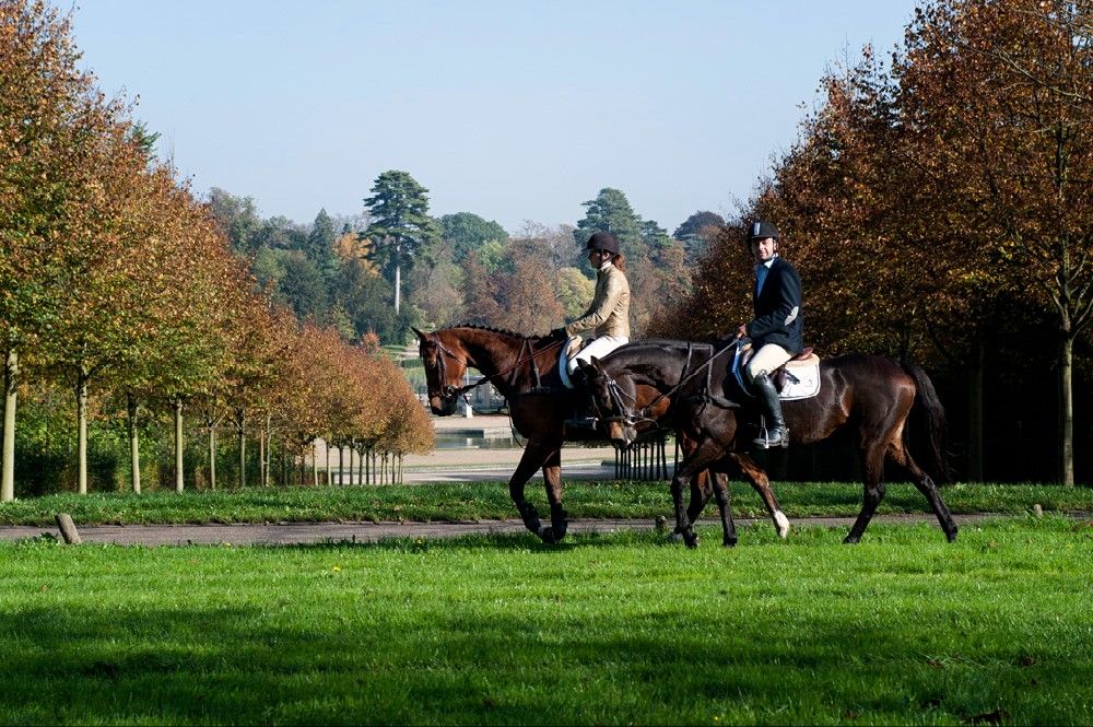 blockValue.b7bf395a-e3a2-47f3-8fa6-8fa7767d23fe.cards.1.image_alt