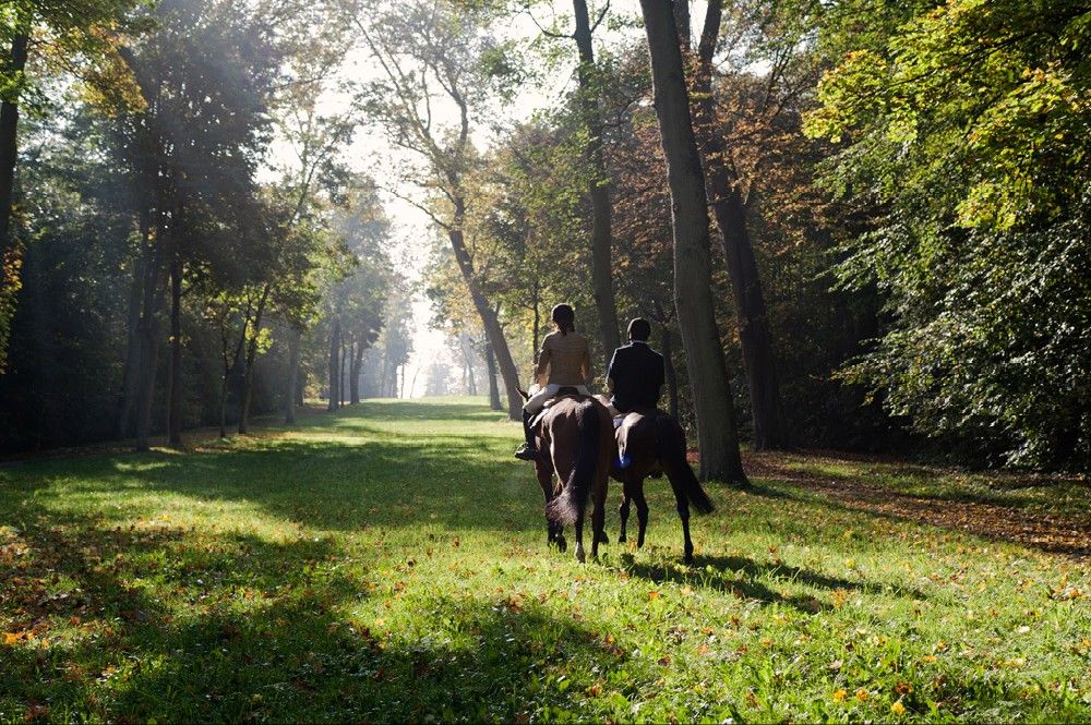 blockValue.f9a6ea79-fba8-48a3-8c3a-f05cf12b99e2.image_alt