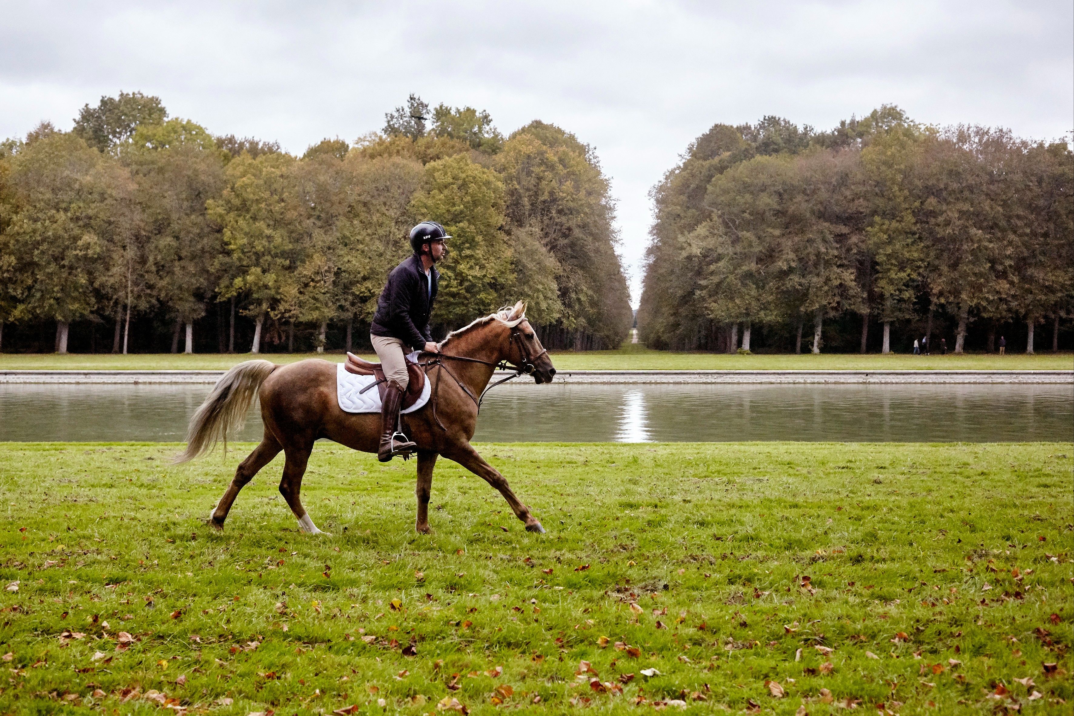 blockValue.b8357bf7-8833-403e-8bf7-bd37bda04d36.image_alt